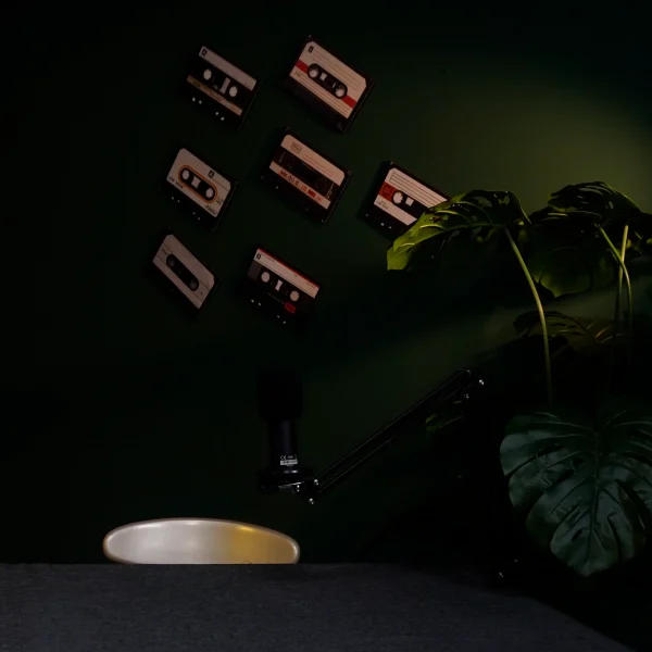 DSC7884 1 1 600x600